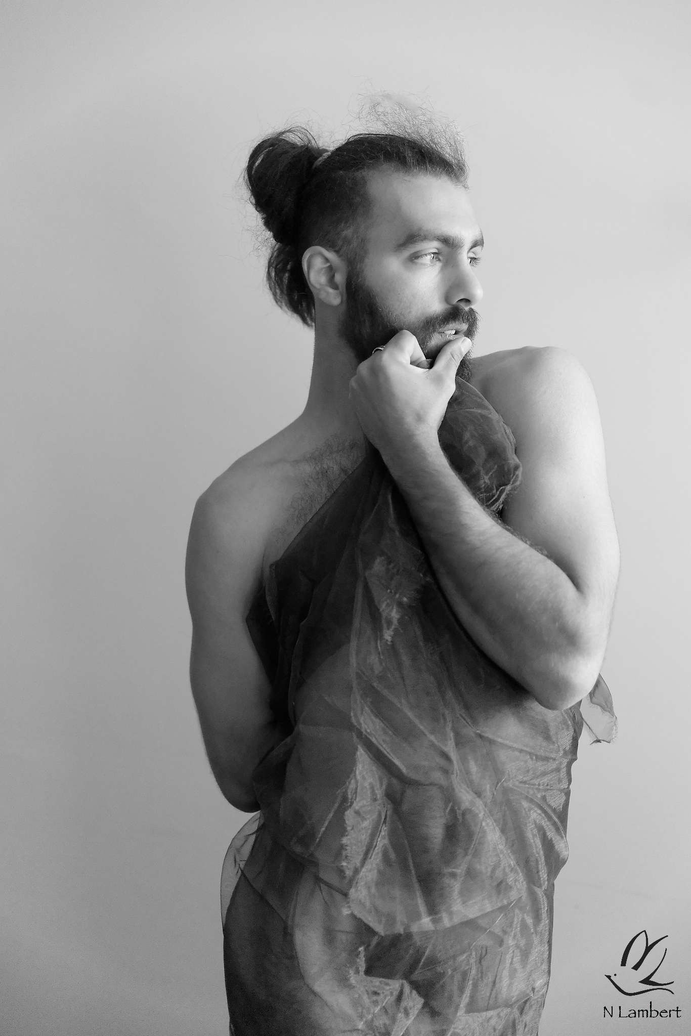 Wielfried - Sant Vicenç dels Horts - Barcelona | Trans