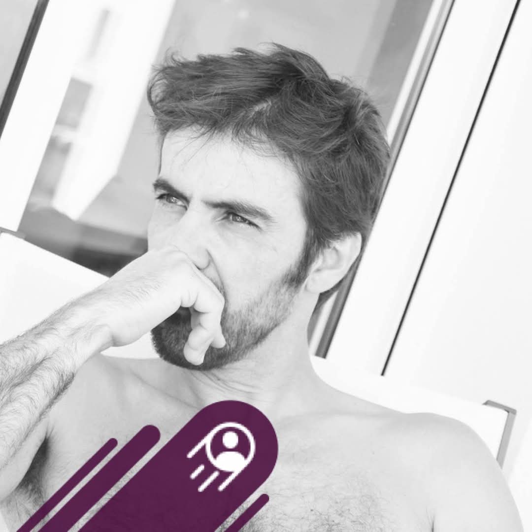 Gaylord - Torelló - Barcelona | Trans
